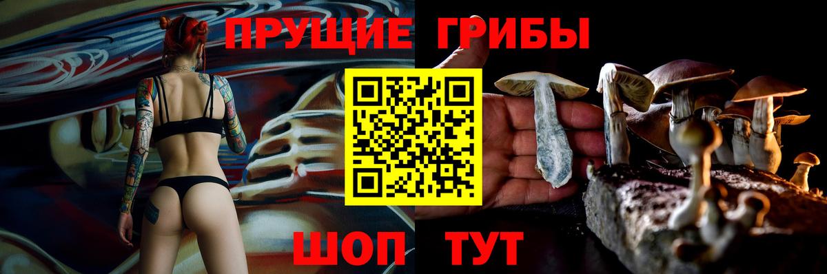 Галлюциногенные грибы MAGIC MUSHROOMS Домодедово